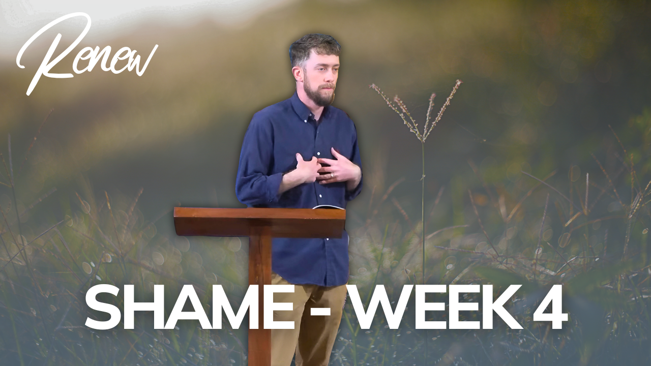 Shame: Renew (Week 4)