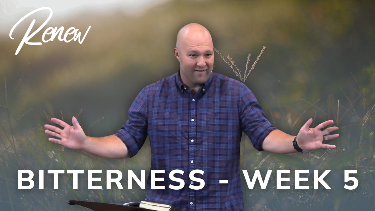 Bitterness: Renew (Week 5)